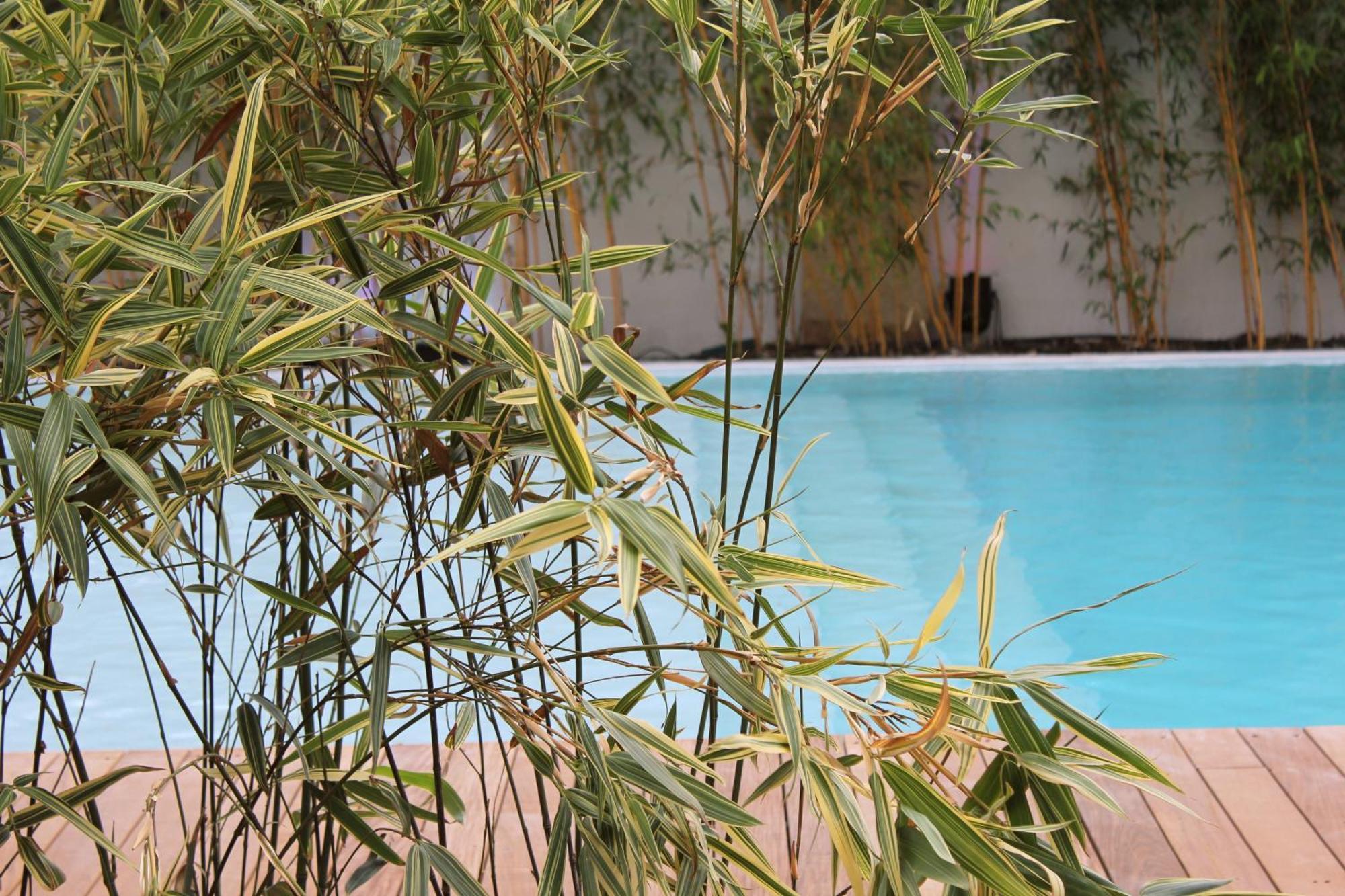 Hotel C Suites Chambres Spacieuses Nîmes Kültér fotó